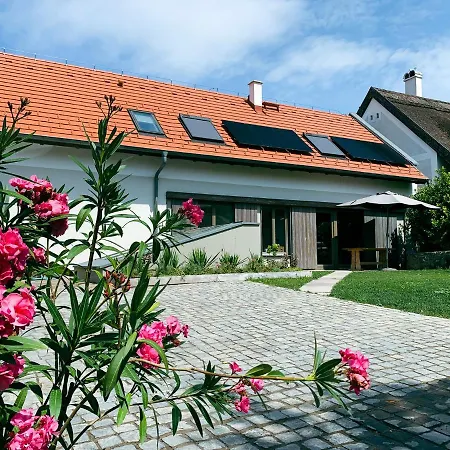 Kaska Haz * 蒂豪尼