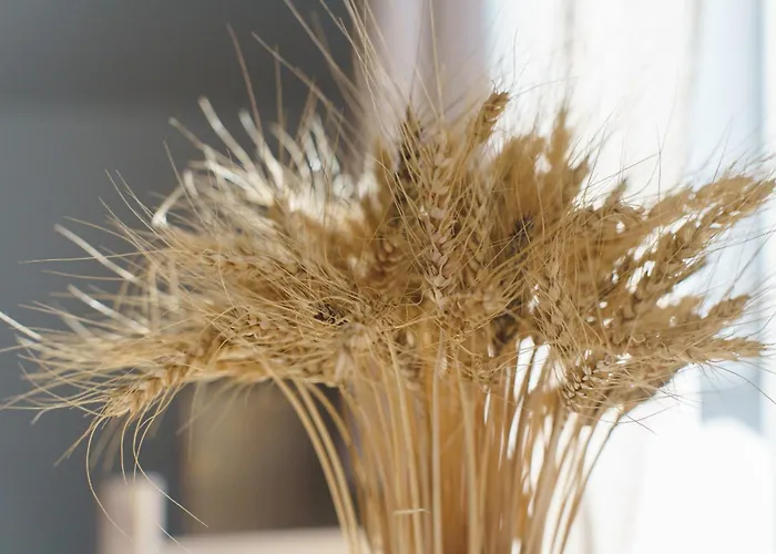 Kaska Haz * טיהאני